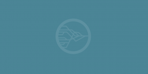 CITCO Water Integrated Technology Solutions